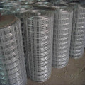 Galvanized  welded wire mesh & High quality & Widely used